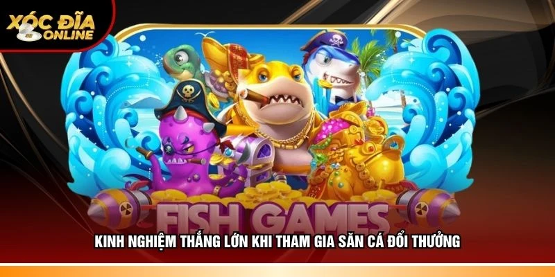 Chiến thuật thắng lớn khi tham gia săn cá đổi thưởng
