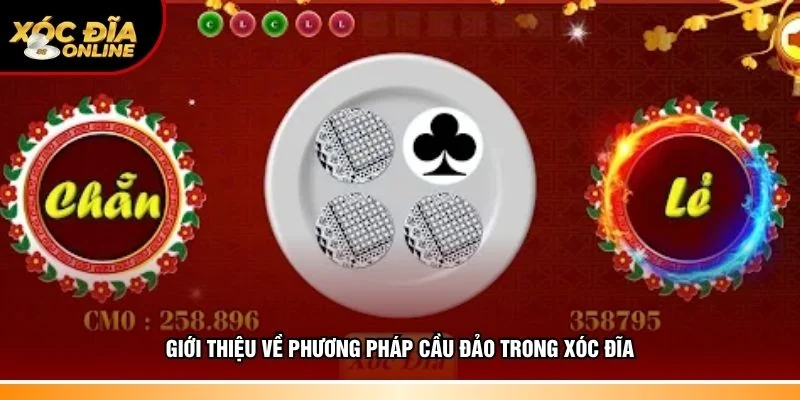 Thông tin về phương pháp cầu đảo trong xóc đĩa
