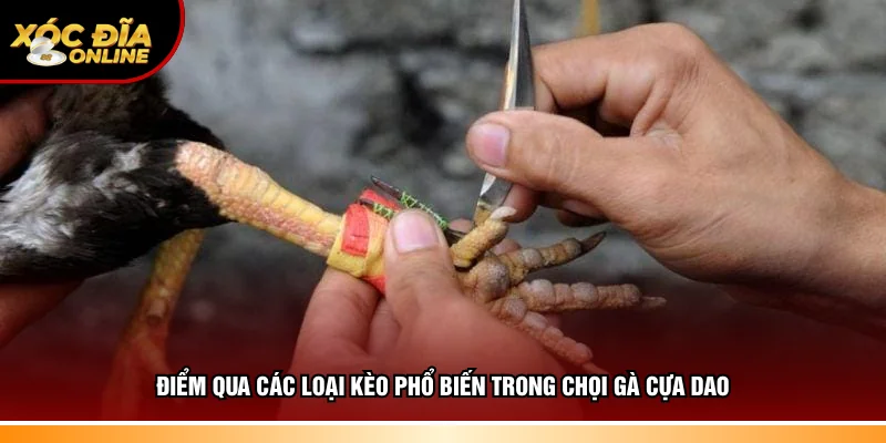Điểm qua các loại kèo đấu kê cựa dao
