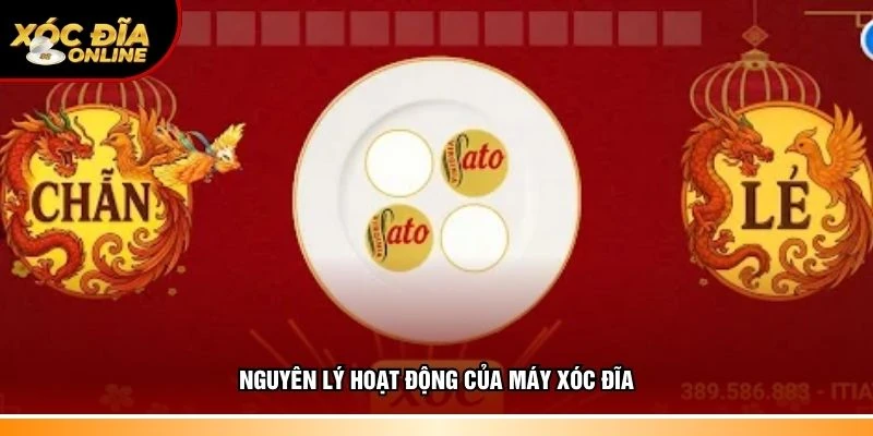 Nguyên lý hoạt động của máy xóc đĩa