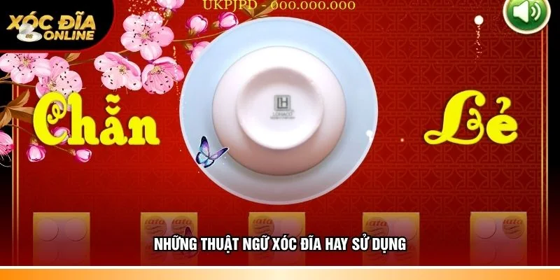 Thông tin thuật ngữ xóc đĩa hay sử dụng