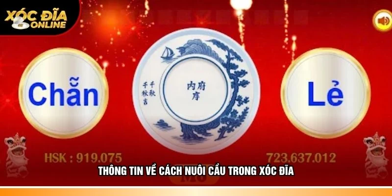 Khái quát về cách nuôi cầu trong xóc đĩa