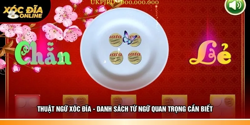 Thuật ngữ xóc đĩa