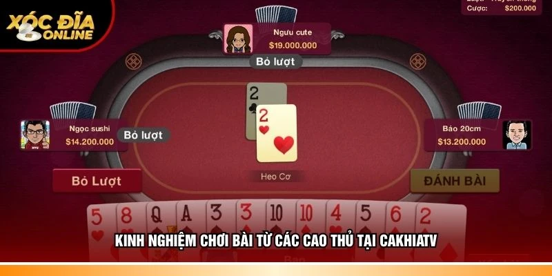 Chia sẻ kinh nghiệm chơi bài từ các cao thủ