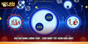 Xóc đĩa dung lượng thấp